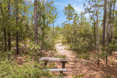Terreno en venta en Homosassa, Florida № 1911231 - foto 5