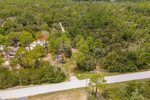 Terreno en venta en Homosassa, Florida № 1911231 - foto 10