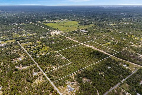 Terreno en venta en Homosassa, Florida № 1911231 - foto 2