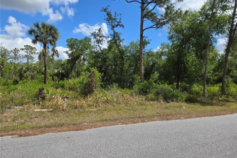 Land in Port Charlotte, Florida № 1637786 - photo 2