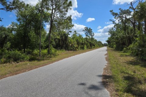 Land in Port Charlotte, Florida № 1637786 - photo 1