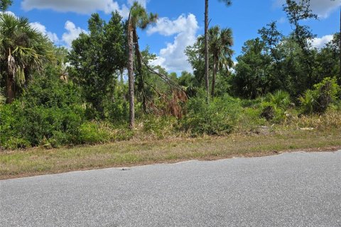Land in Port Charlotte, Florida № 1637786 - photo 3