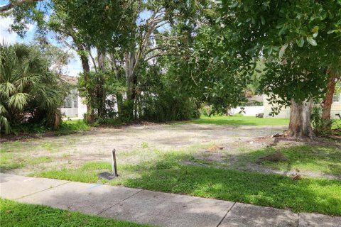 Terreno en venta en Oldsmar, Florida № 1910309 - foto 8