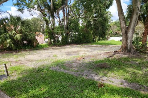 Terreno en venta en Oldsmar, Florida № 1910309 - foto 9