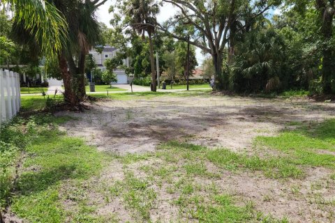 Terreno en venta en Oldsmar, Florida № 1910309 - foto 1