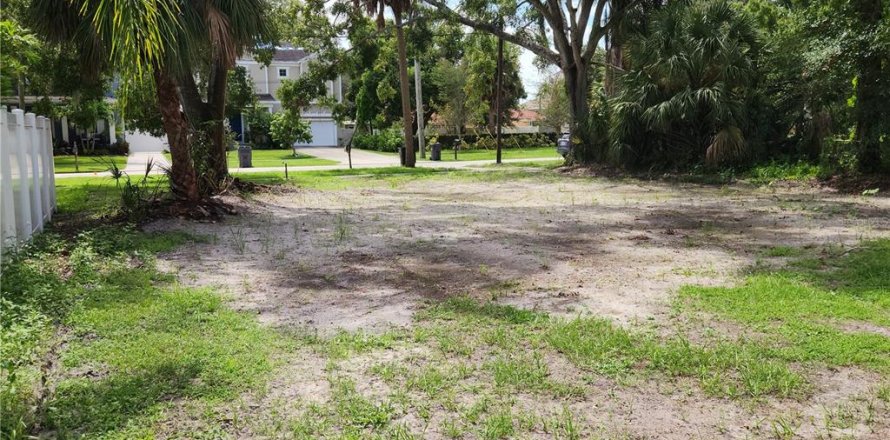 Terreno en Oldsmar, Florida № 1910309