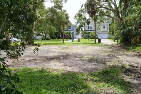 Terreno en venta en Oldsmar, Florida № 1910309 - foto 3