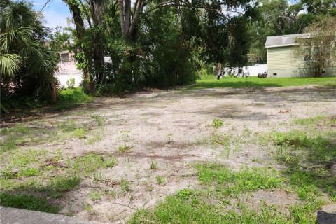Terreno en venta en Oldsmar, Florida № 1910309 - foto 7