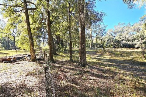 Terreno en venta en Ocala, Florida № 1553800 - foto 5