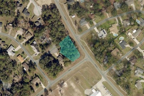 Land in Ocala, Florida № 2159521 - photo 2
