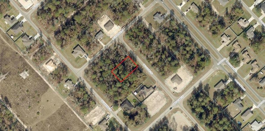 Land in Ocala, Florida № 2159521