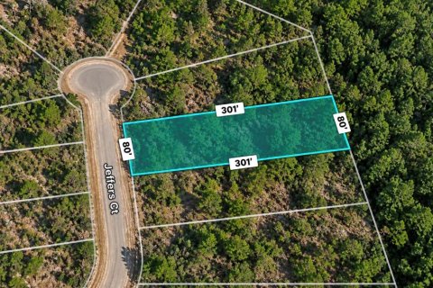Land in Chipley, Florida № 2364454