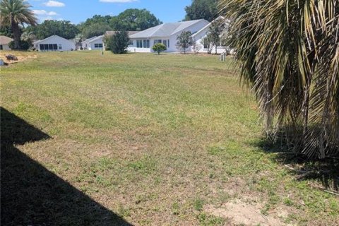 Villa ou maison à vendre à Ocala, Floride: 2 chambres, 165.09 m2 № 2110448 - photo 20