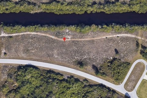 Land in Port Charlotte, Florida № 2162094 - photo 2