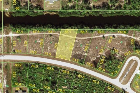 Land in Port Charlotte, Florida № 2162094 - photo 3