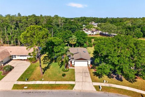 House in Oldsmar, Florida 4 bedrooms, 124.86 sq.m. № 2106626 - photo 4