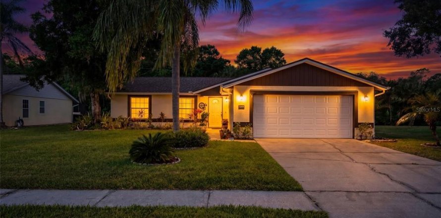 House in Oldsmar, Florida 4 bedrooms, 124.86 sq.m. № 2106626