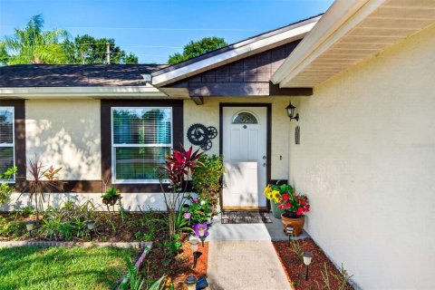 House in Oldsmar, Florida 4 bedrooms, 124.86 sq.m. № 2106626 - photo 11