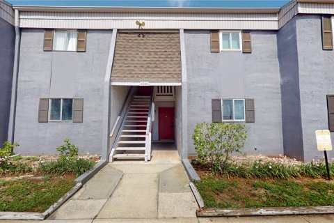 Condo in Tampa, Florida, 4 bedrooms № 2208858