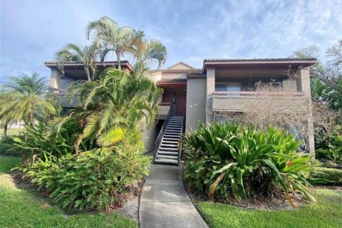 Studio in the Condo in Saint Petersburg, Florida  № 1801708 - photo 1