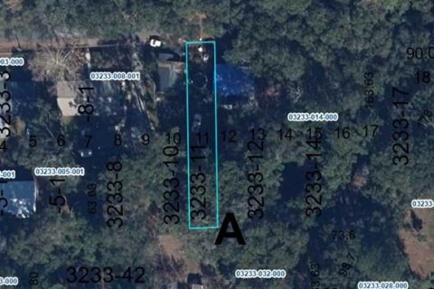 Terreno en venta en Alachua, Florida № 1733282 - foto 1