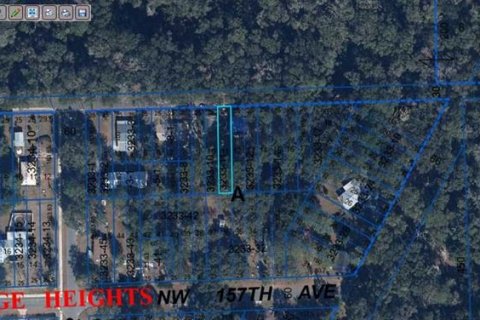 Terreno en venta en Alachua, Florida № 1733282 - foto 2
