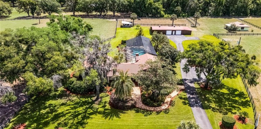House in De Leon Springs, Florida 4 bedrooms, 425.77 sq.m. № 1653929