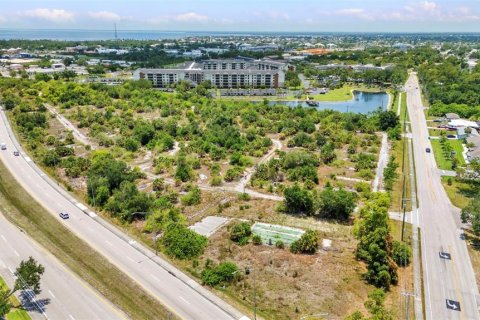 Terrain à vendre à Punta Gorda, Floride № 2395834 - photo 6