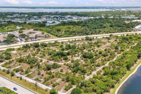 Terrain à Punta Gorda, Floride № 2395834