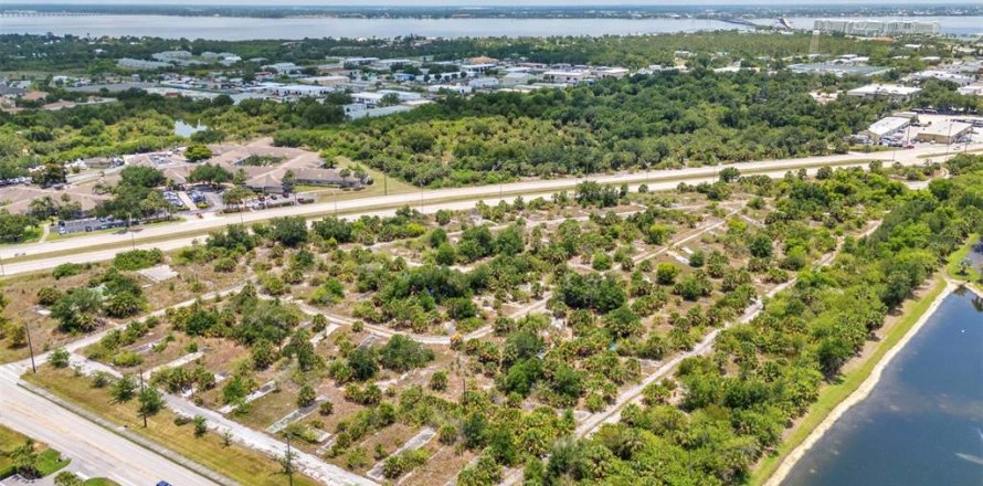 Terrain à Punta Gorda, Floride № 2395834
