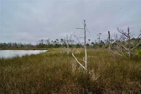 Terreno en venta en Steinhatchee, Florida № 1908476 - foto 12