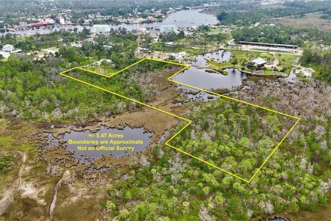 Terreno en venta en Steinhatchee, Florida № 1908476 - foto 1