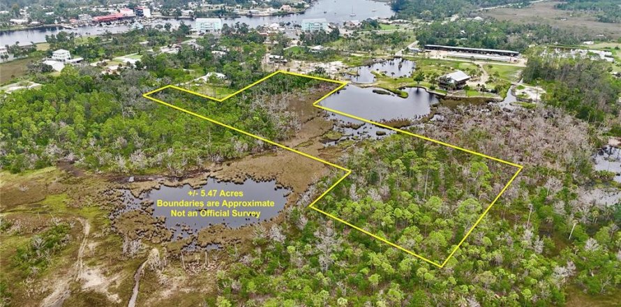 Terreno en Steinhatchee, Florida № 1908476