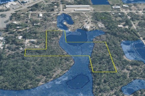 Terreno en venta en Steinhatchee, Florida № 1908476 - foto 21