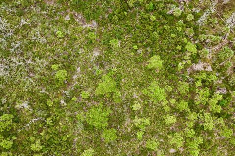 Terreno en venta en Steinhatchee, Florida № 1908476 - foto 15
