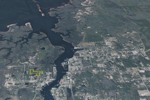 Terreno en venta en Steinhatchee, Florida № 1908476 - foto 28