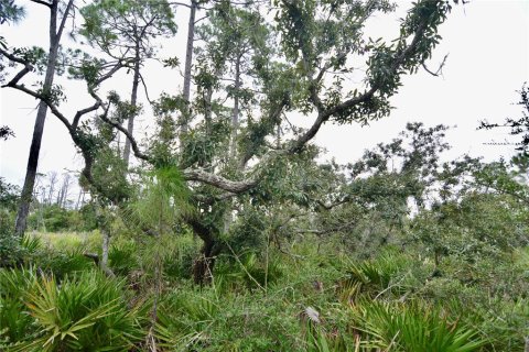 Terreno en venta en Steinhatchee, Florida № 1908476 - foto 5