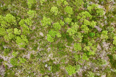 Terreno en venta en Steinhatchee, Florida № 1908476 - foto 14