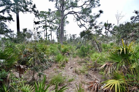 Terreno en venta en Steinhatchee, Florida № 1908476 - foto 3