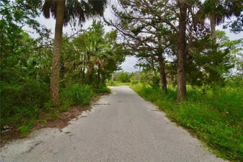 Terreno en venta en Steinhatchee, Florida № 1908476 - foto 2