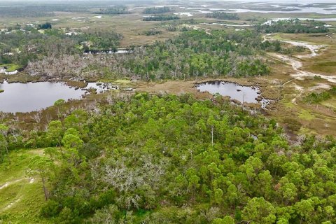 Terreno en venta en Steinhatchee, Florida № 1908476 - foto 16