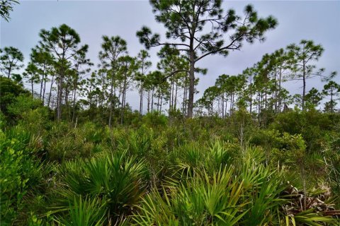 Terreno en venta en Steinhatchee, Florida № 1908476 - foto 8