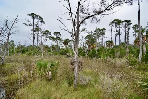 Terreno en venta en Steinhatchee, Florida № 1908476 - foto 9