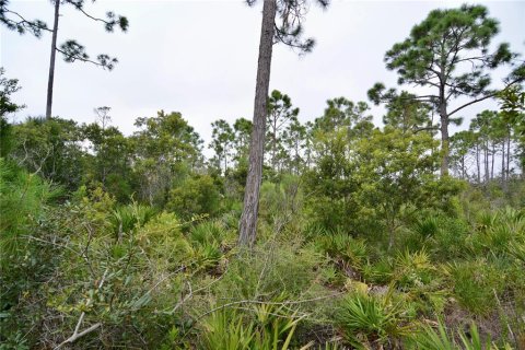 Terreno en venta en Steinhatchee, Florida № 1908476 - foto 7