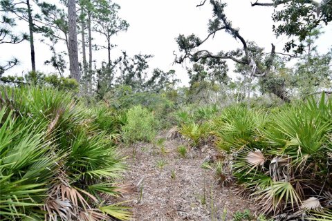 Terreno en venta en Steinhatchee, Florida № 1908476 - foto 4