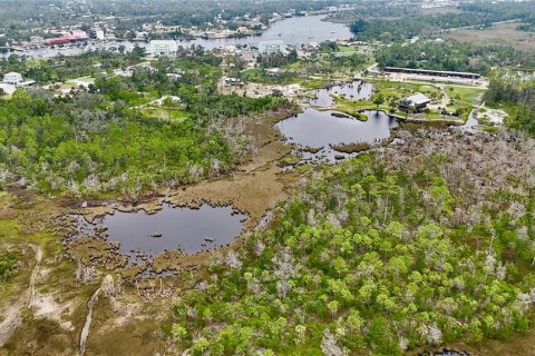 Terreno en venta en Steinhatchee, Florida № 1908476 - foto 17
