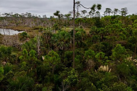 Terreno en venta en Steinhatchee, Florida № 1908476 - foto 13