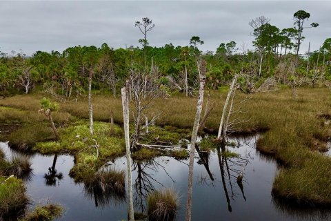 Terreno en venta en Steinhatchee, Florida № 1908476 - foto 10