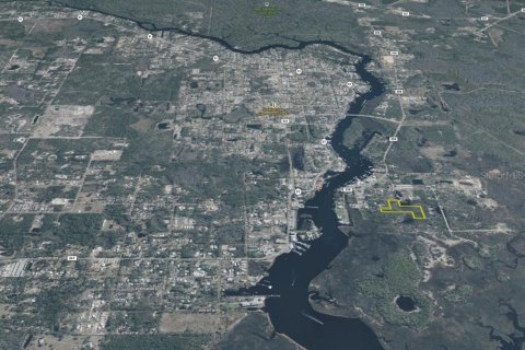 Terreno en venta en Steinhatchee, Florida № 1908476 - foto 29