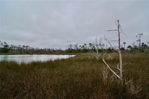 Terreno en venta en Steinhatchee, Florida № 1908476 - foto 11